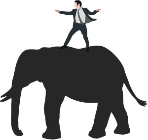 Man standing on elephant